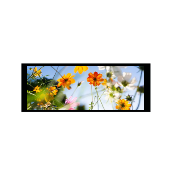 6,86 tuumaa 480 × 1280 IPS TFT -moduuli